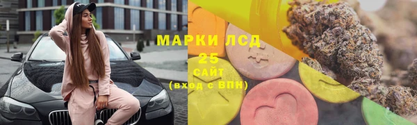 spice Гусиноозёрск