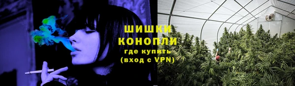 spice Гусиноозёрск