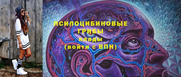 spice Гусиноозёрск
