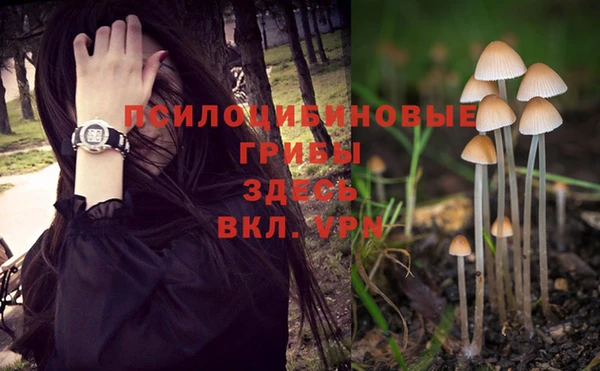 spice Гусиноозёрск