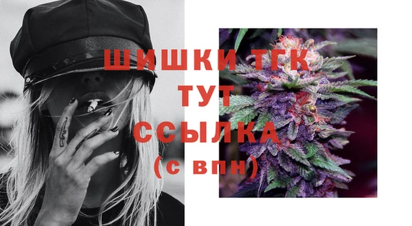 spice Гусиноозёрск