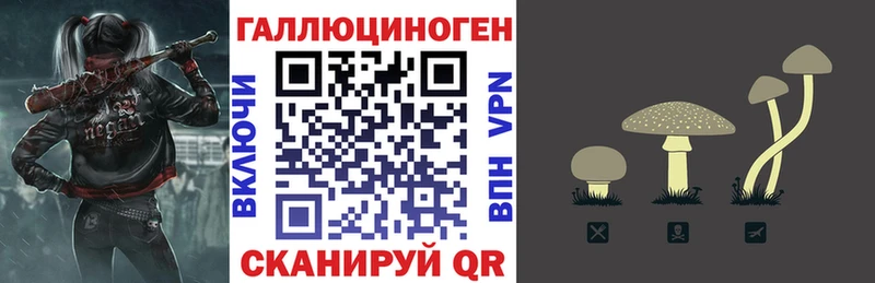 Галлюциногенные грибы Psilocybine cubensis  Купить закладки  Клин 
